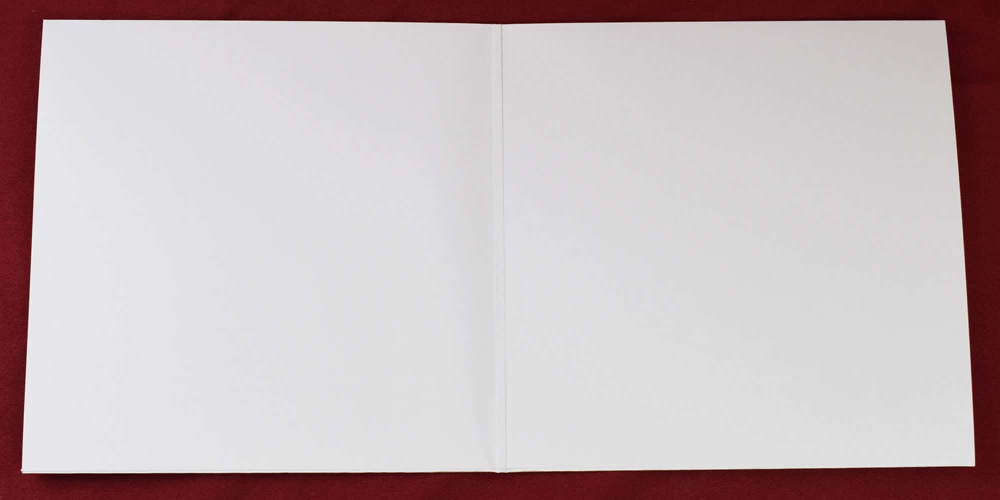 Obal kapsa vinyl dvoj LP (12") bílý 1 KS